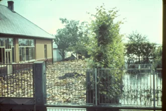 2 Balony arvíz 2015 03 21 22