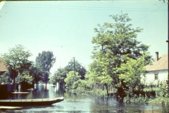 6 Balony arvíz 03 21 47