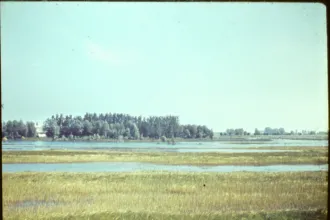 45 Balony arvíz 2015 03 21 51