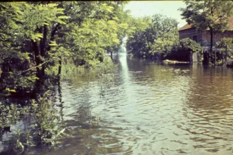 57 Balony arvíz 2015 03 21 63