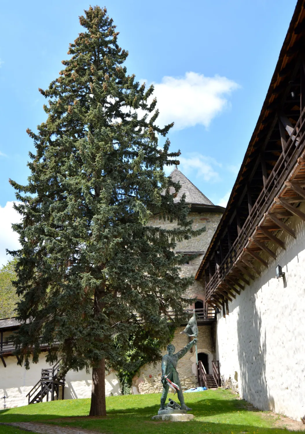 Master file0000059908