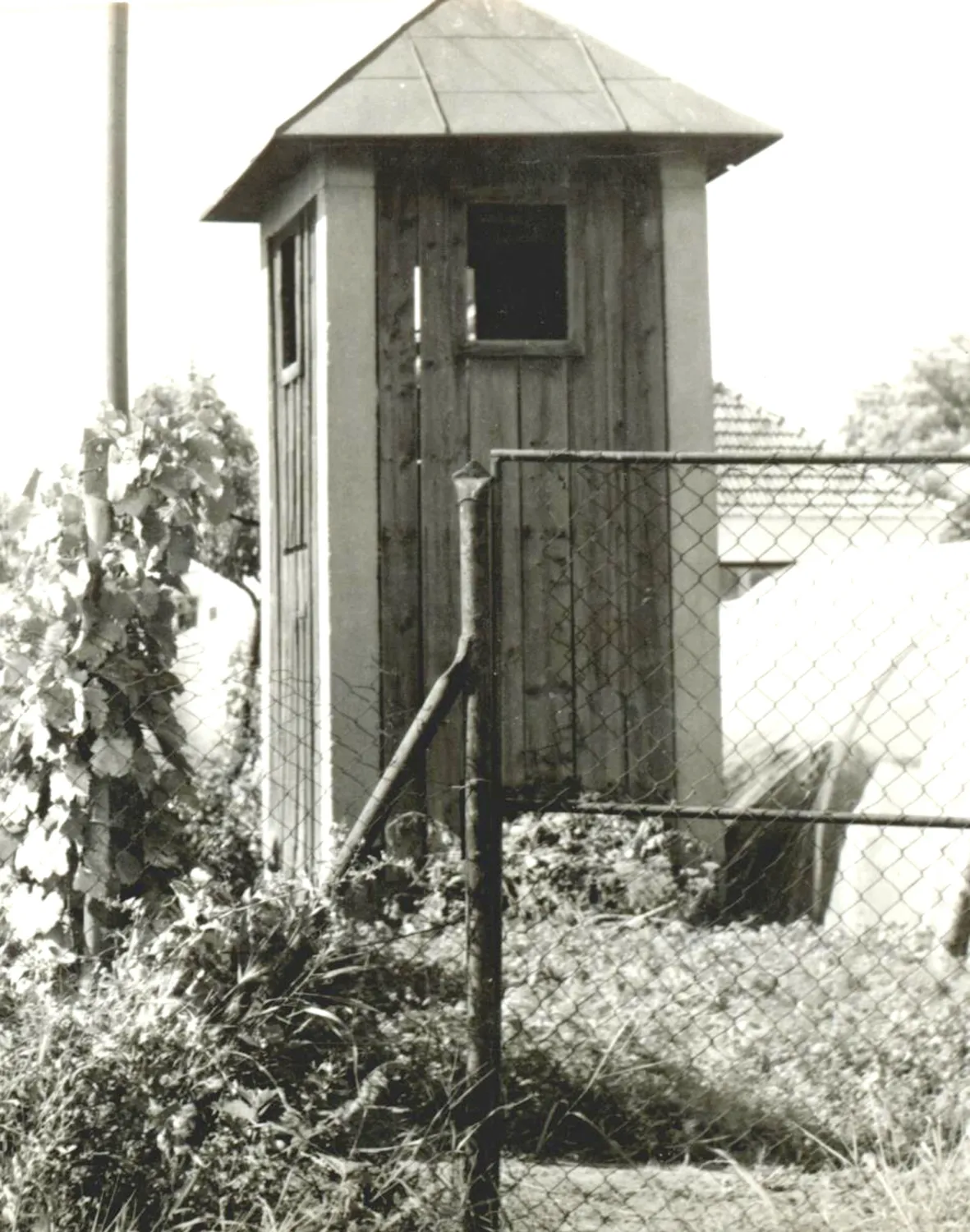 Master file0000065066