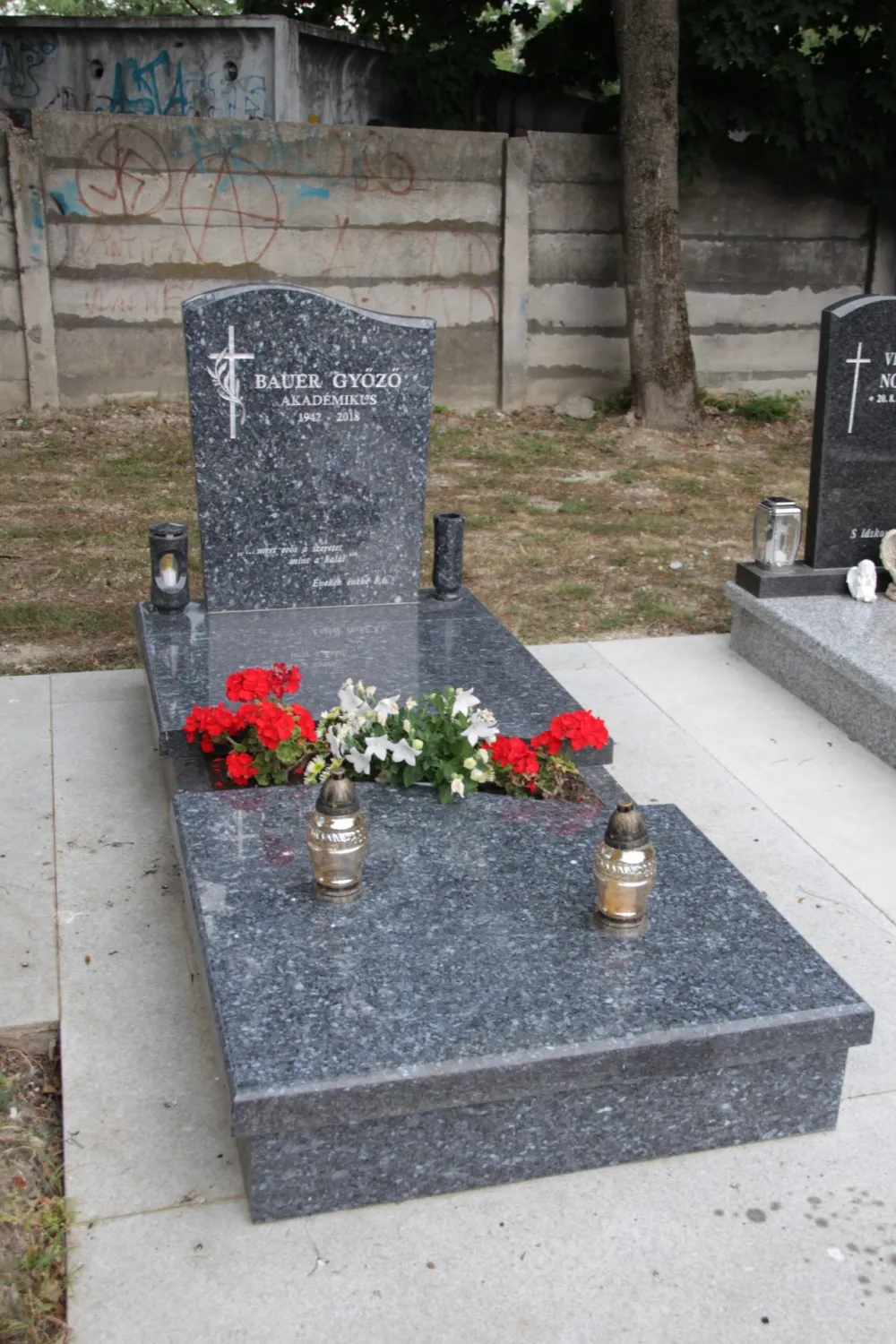 Master file0000059043