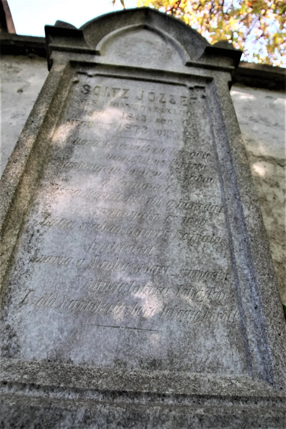 Master file0000060111