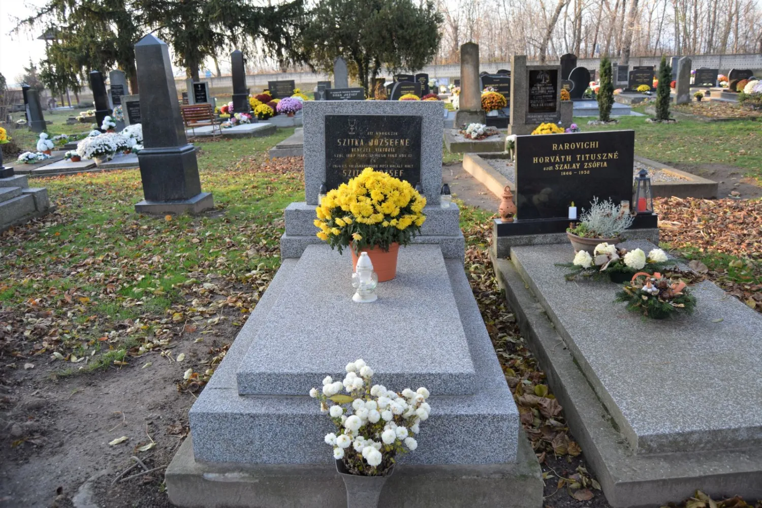 Master file0000065800