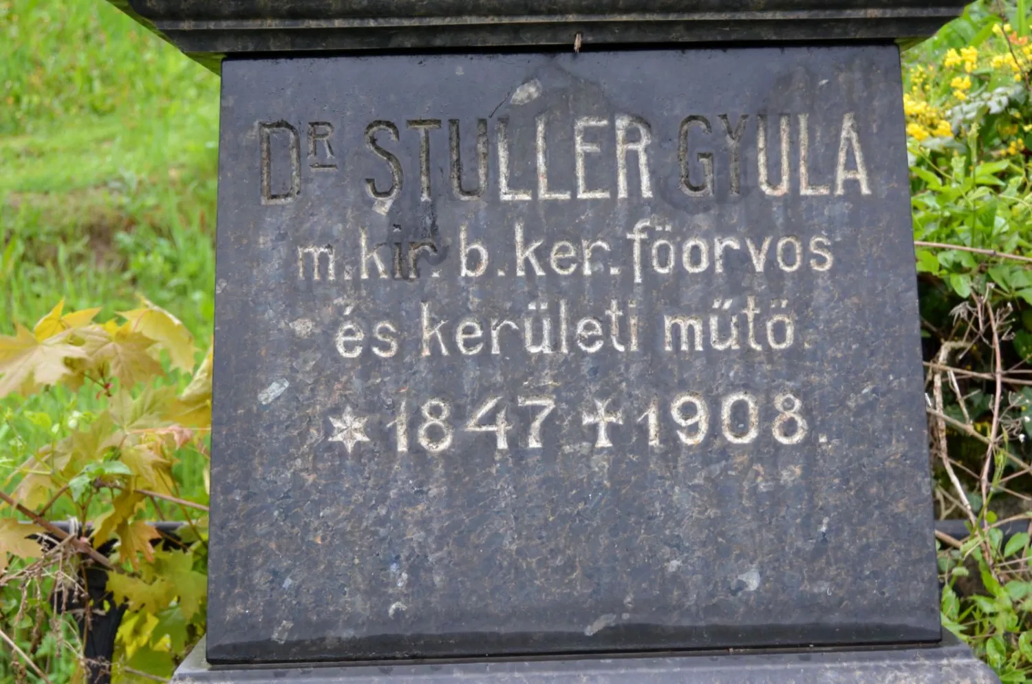 Master file0000058445