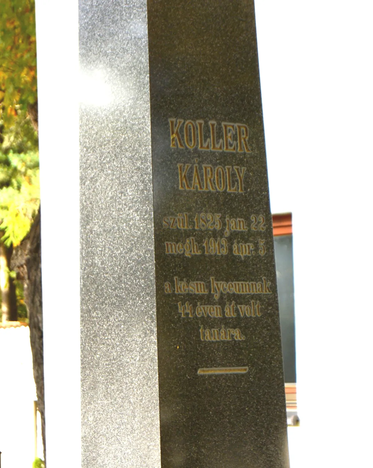 Master file0000057994