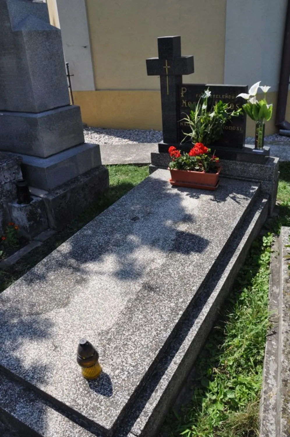 Master file0000078941