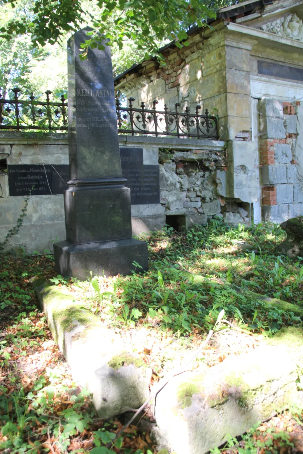 Master file0000061635