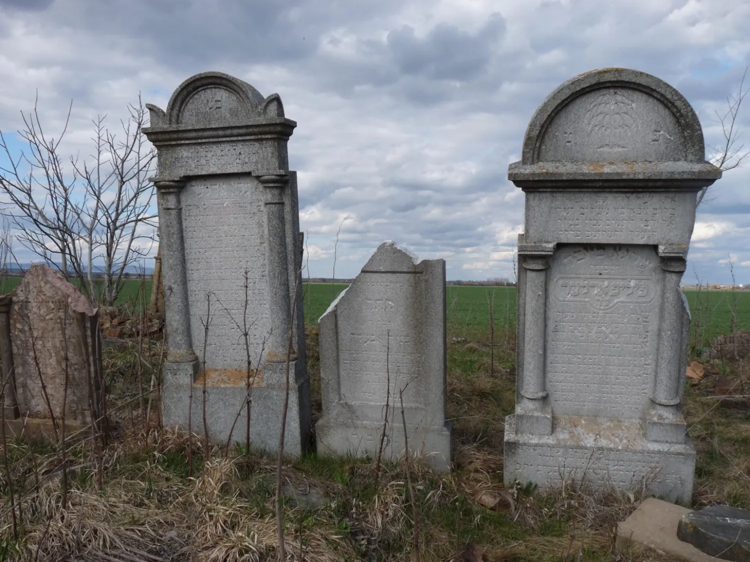 Master file0000063044