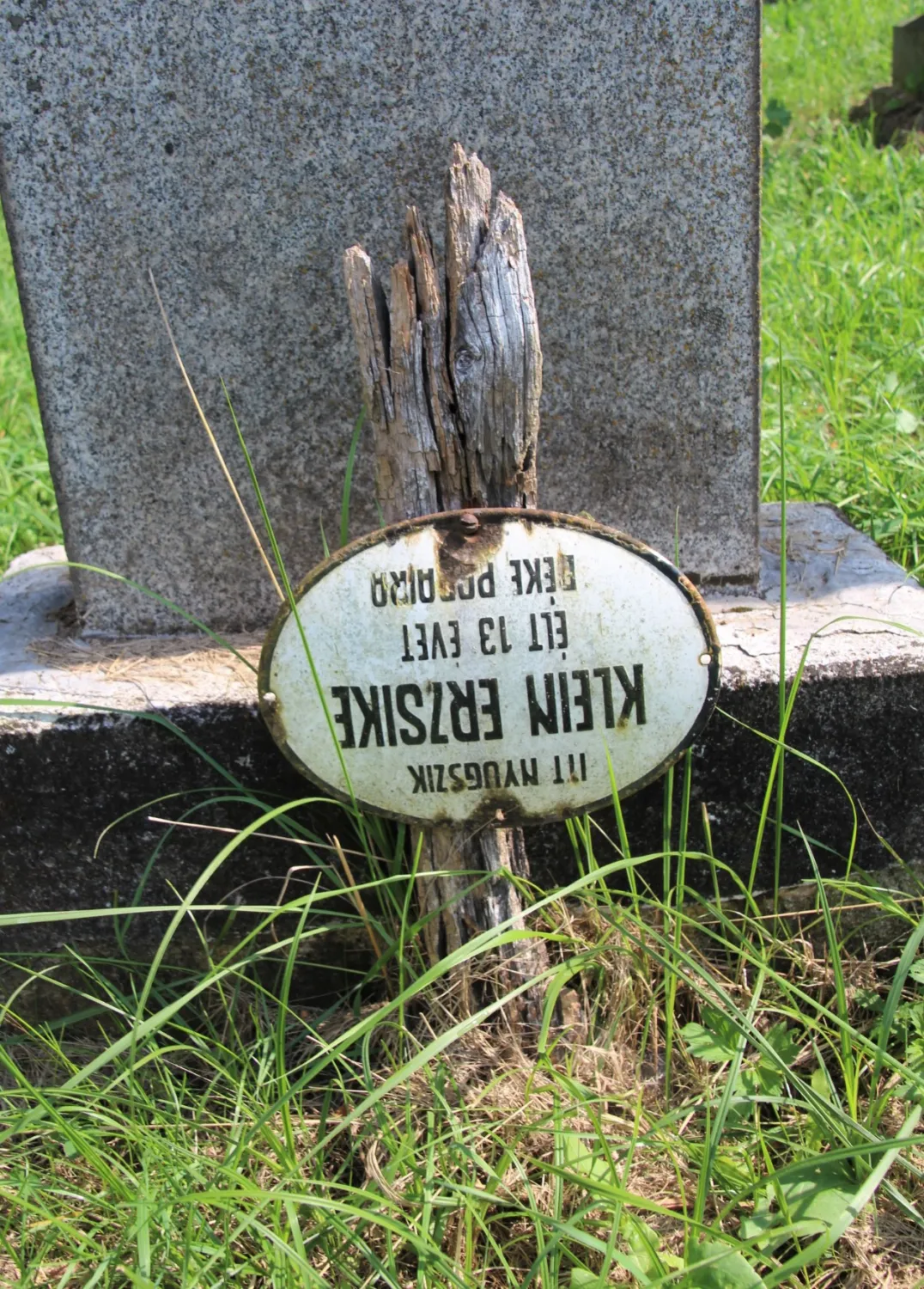 Master file0000059772