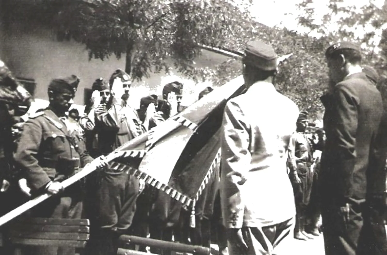 Master file0000057615