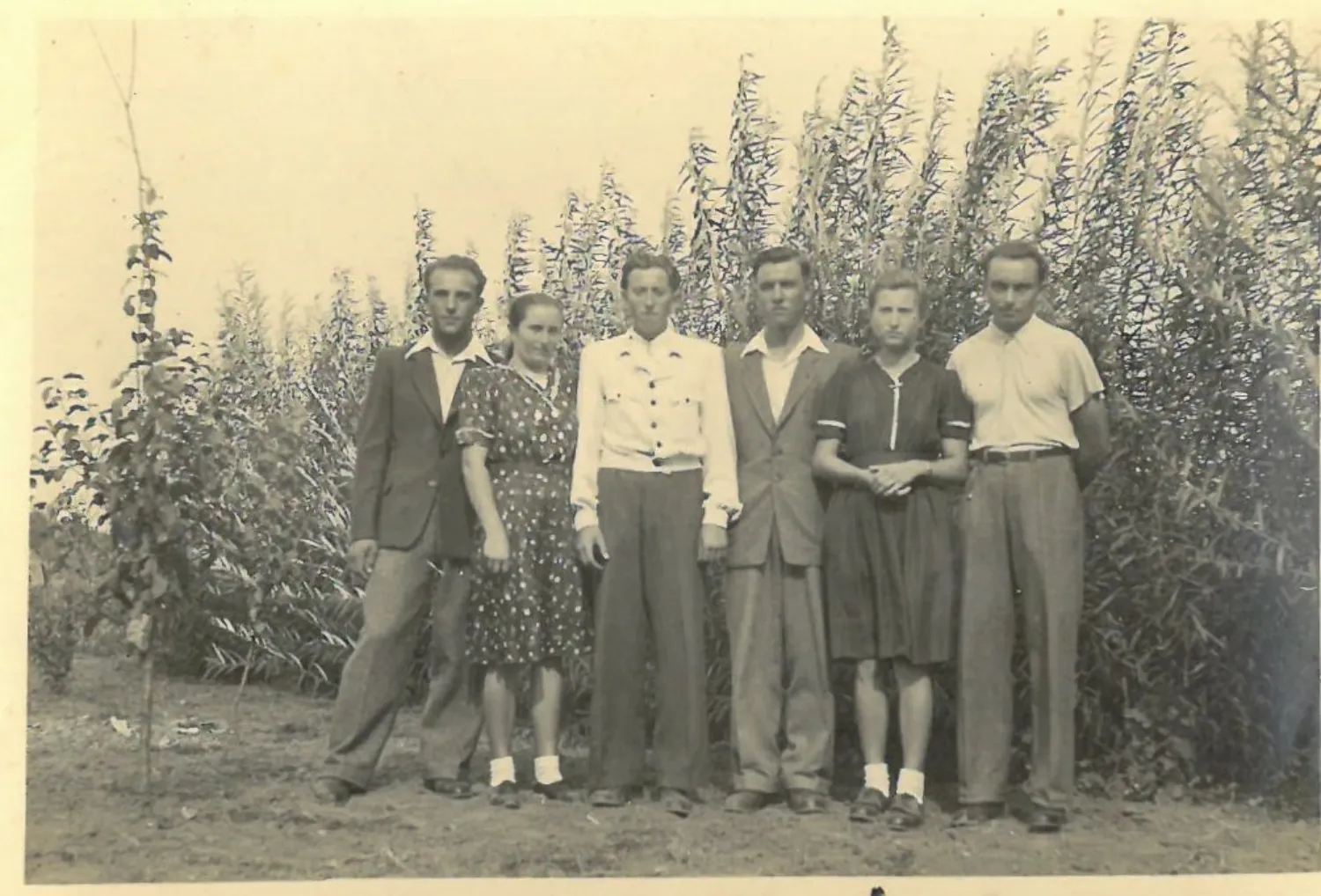 Master file0000080833