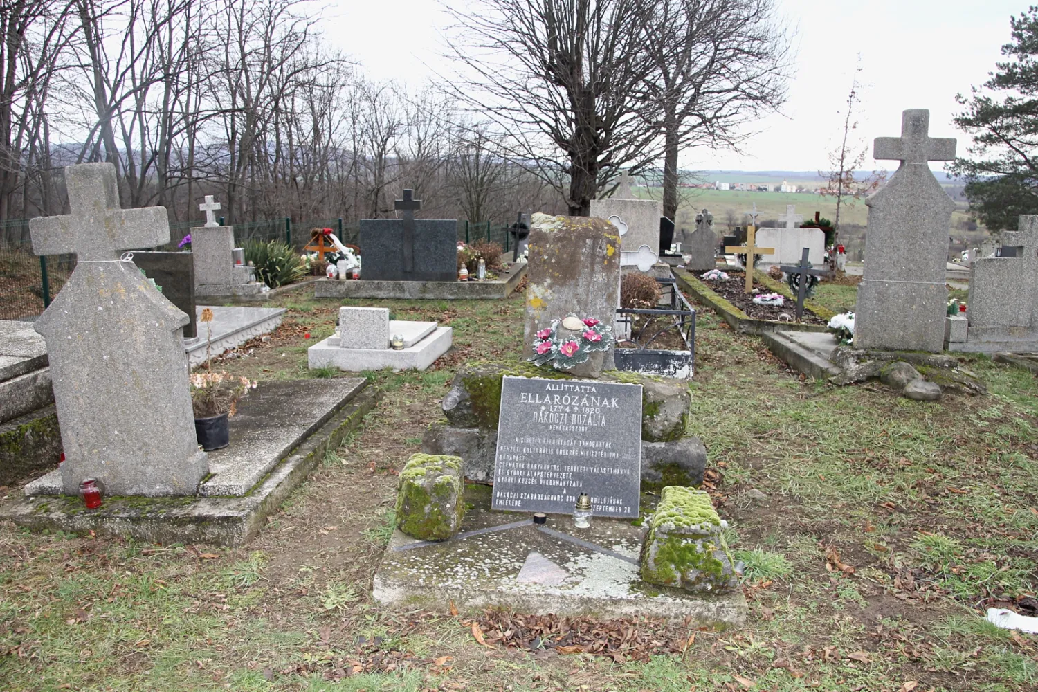 Master file0000065028