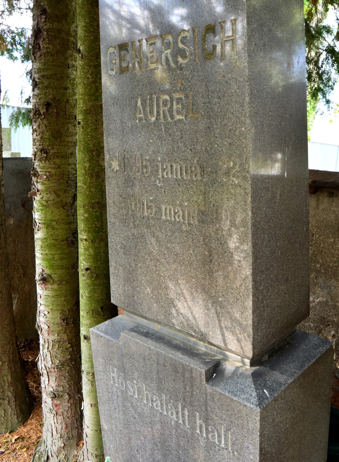 Master file0000058526