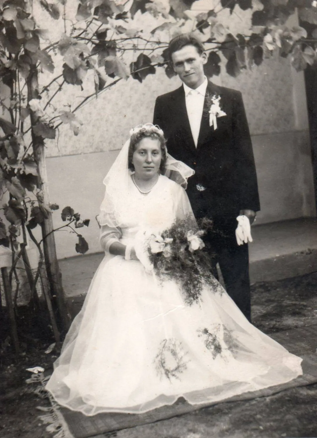 Master file0000056020