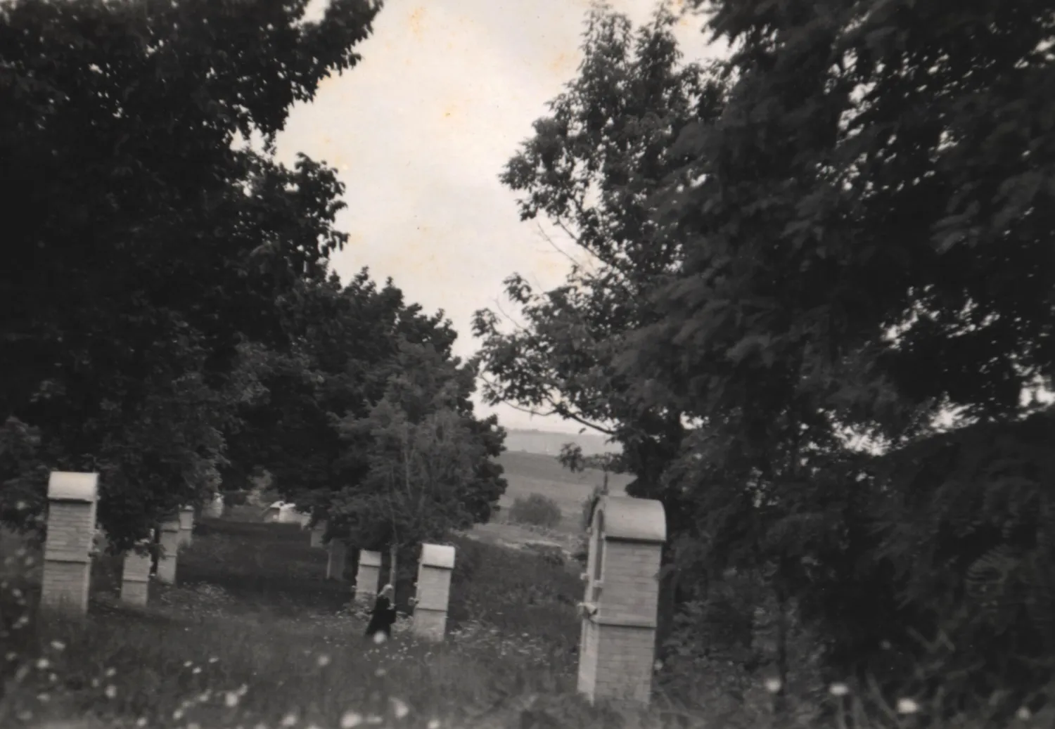 Master file0000054948