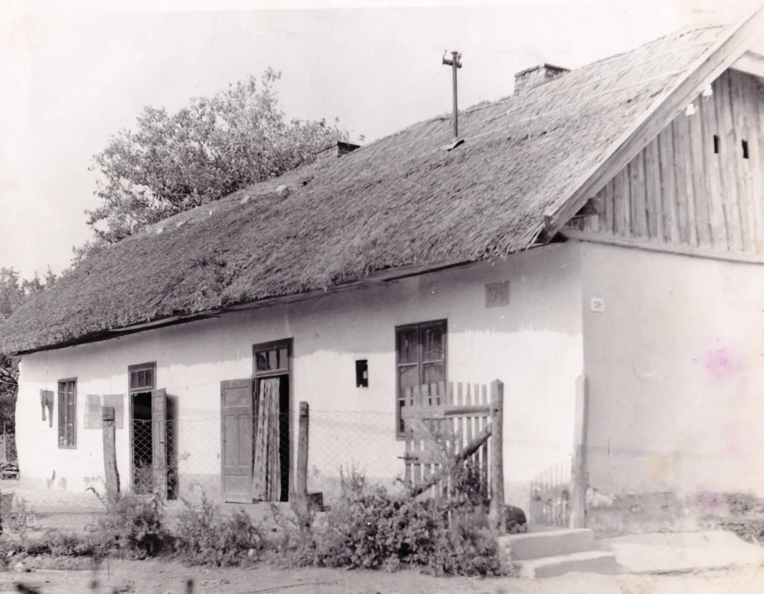 Master file0000081970