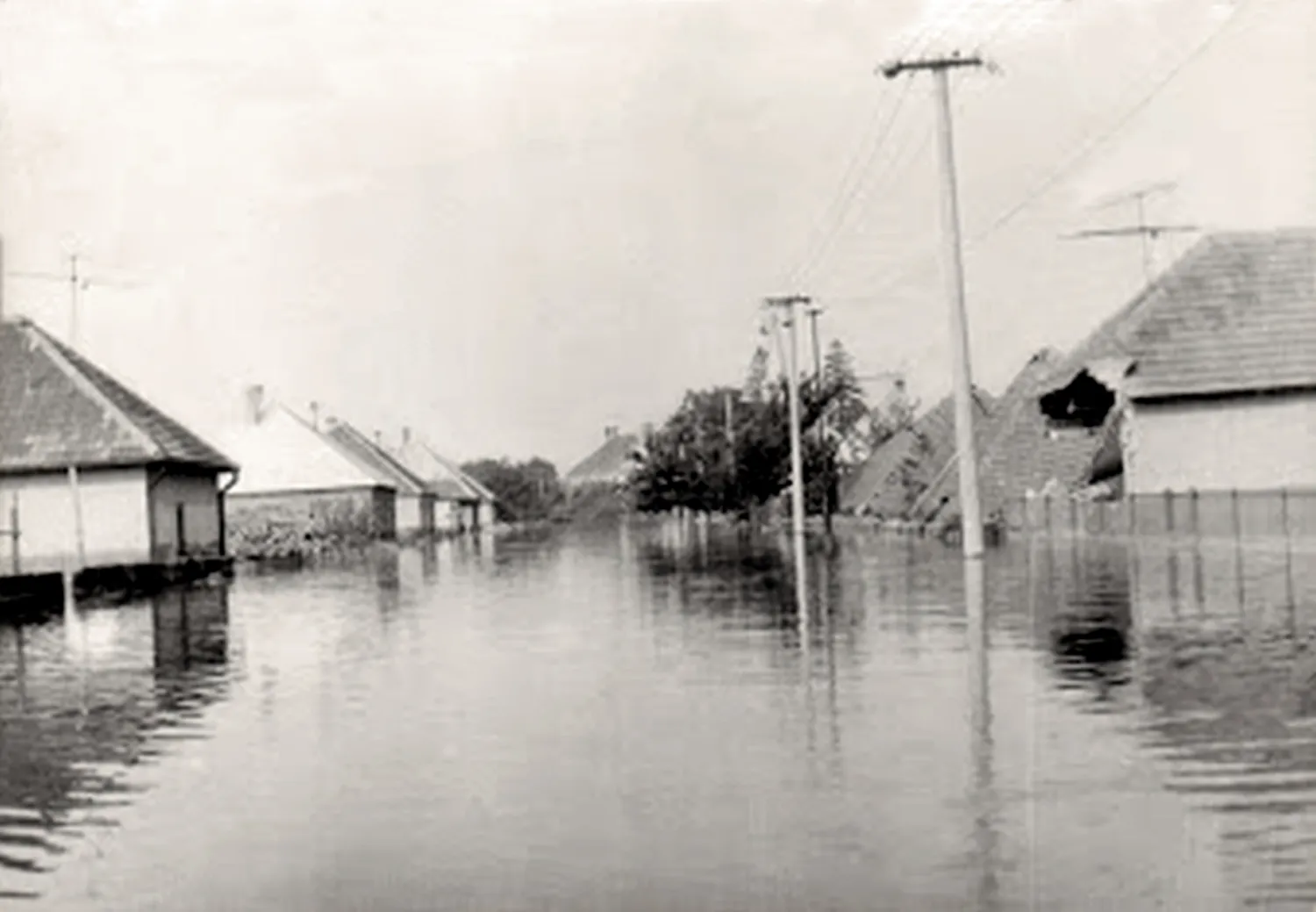 Master file0000057399