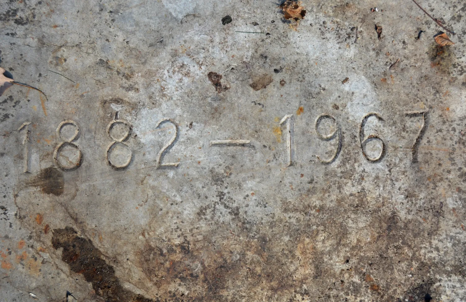 Master file0000060528