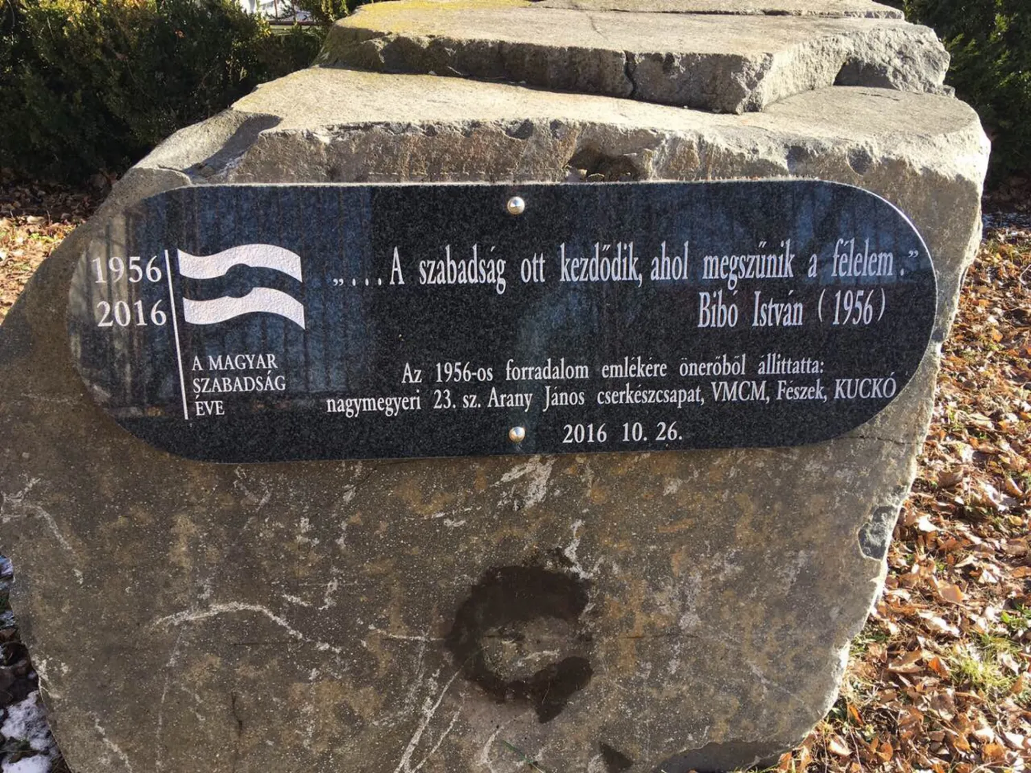 Master file0000038962