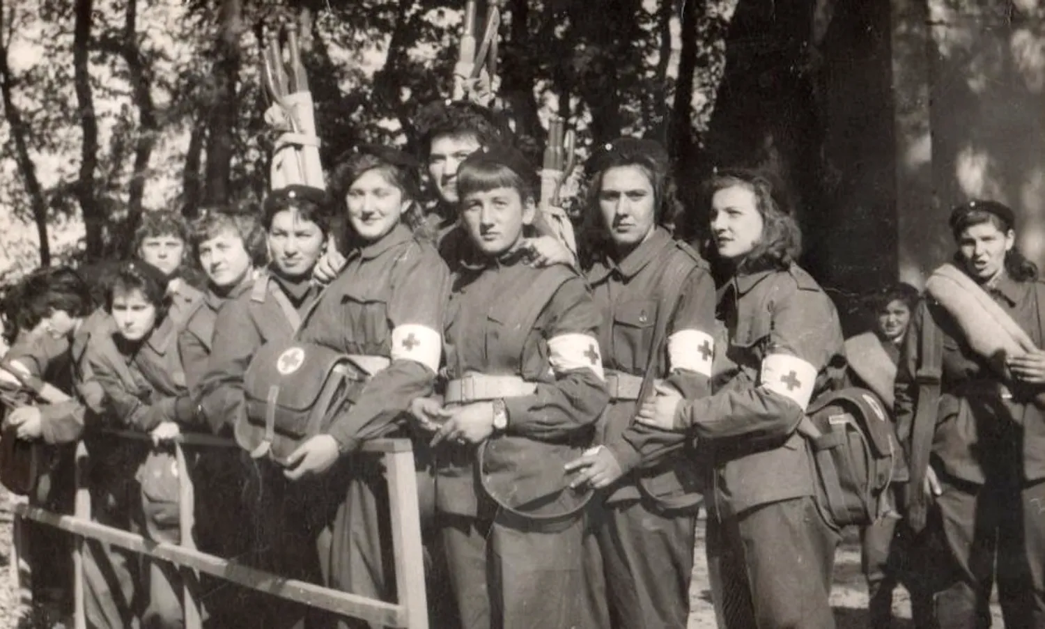 Master file0000055246