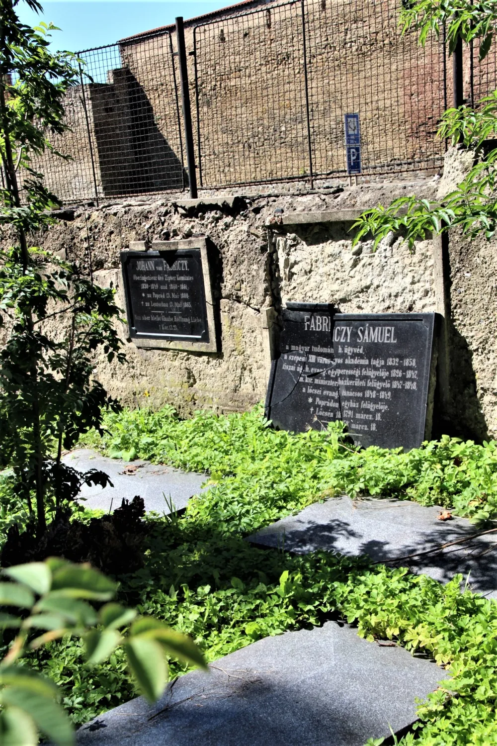 Master file0000058310