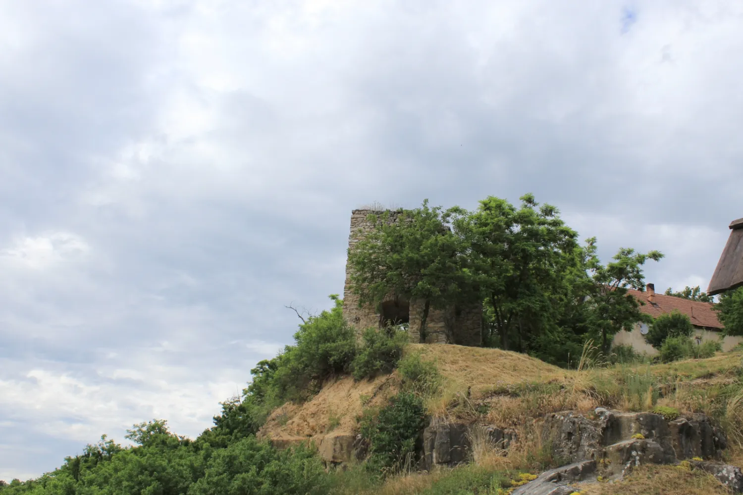 Master file0000038789