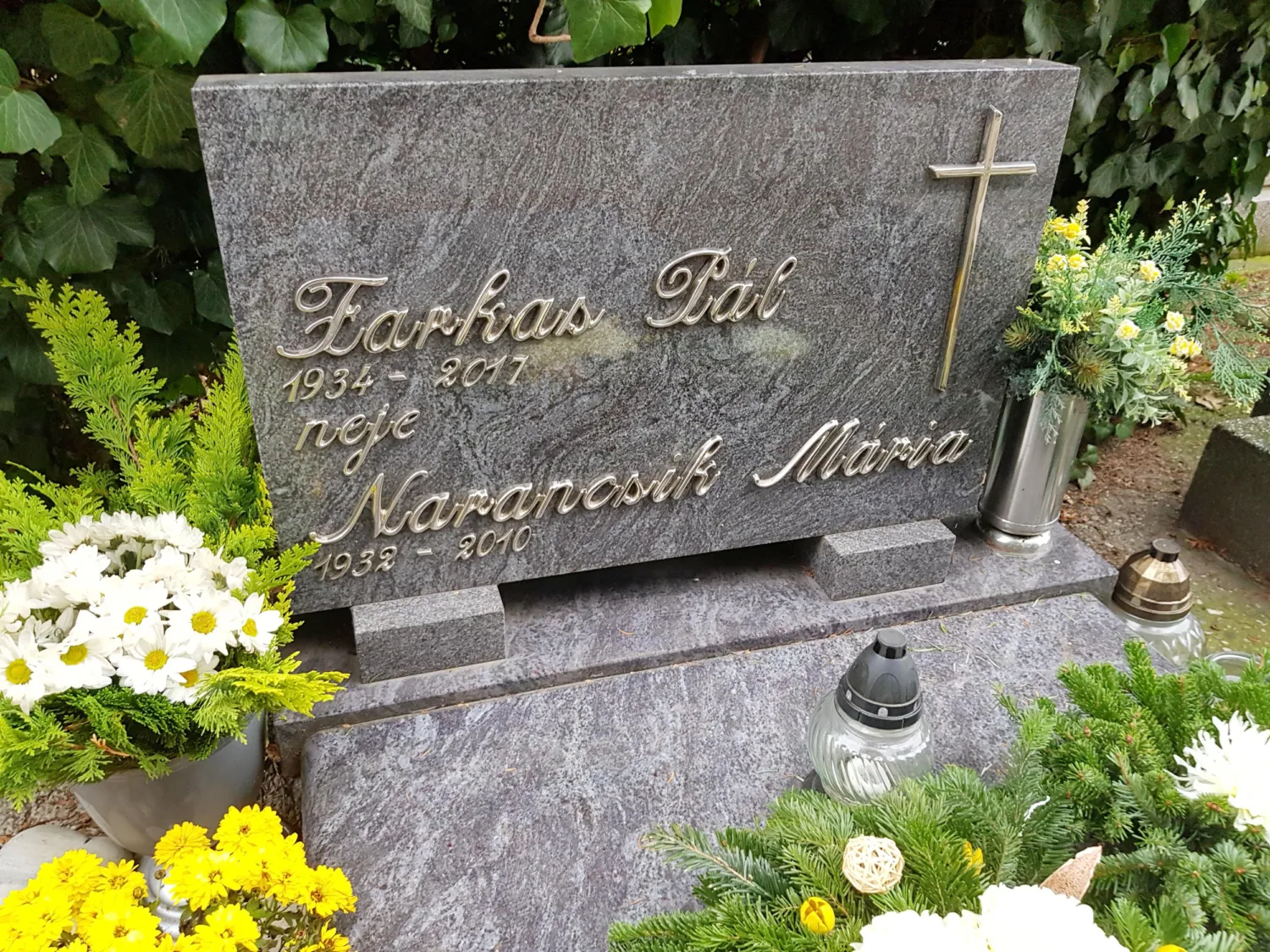 Master file0000069876