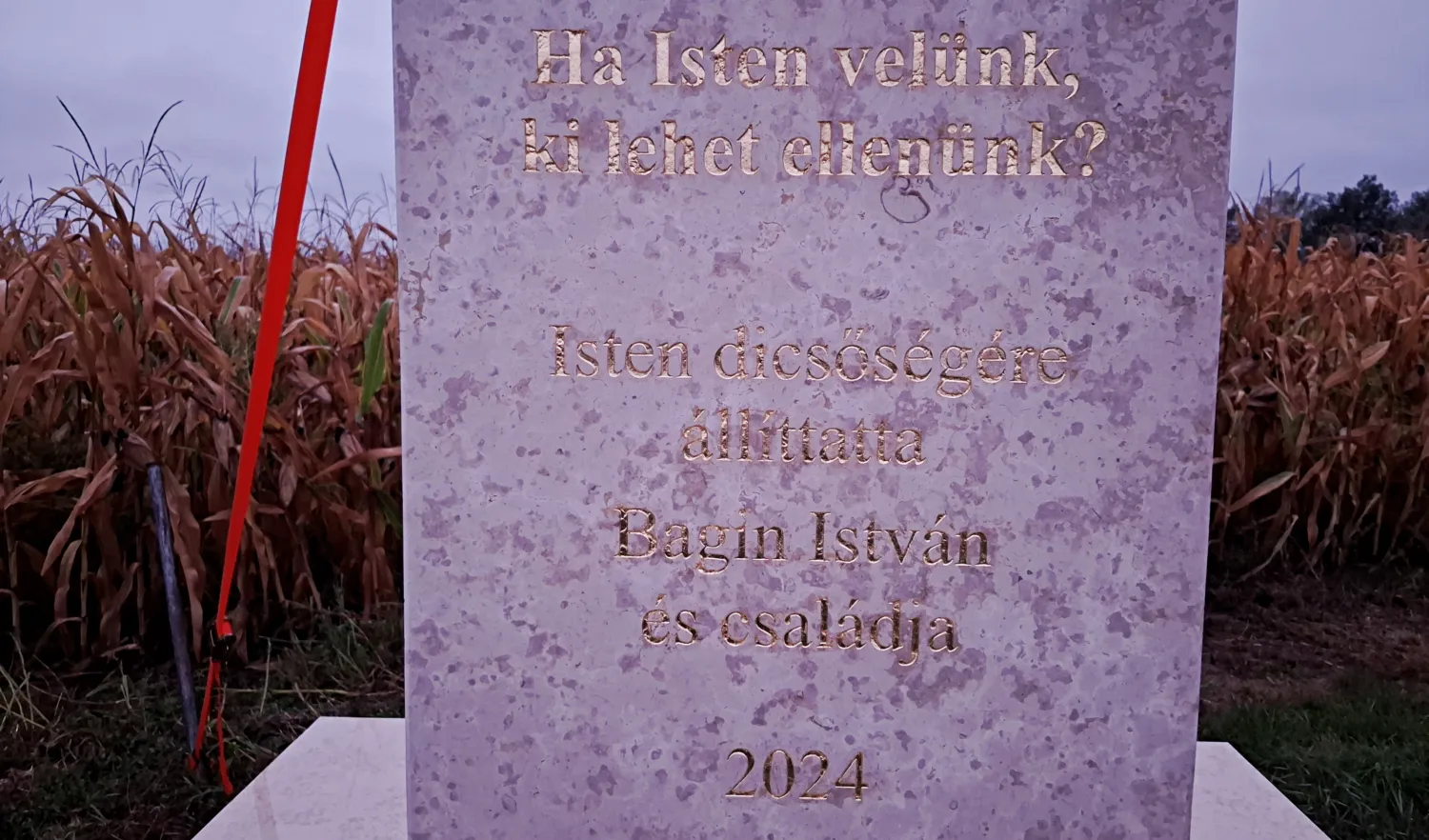 Master file0000081760