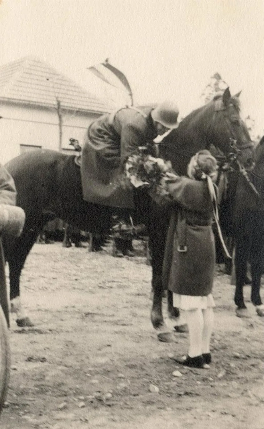 Master file0000054724