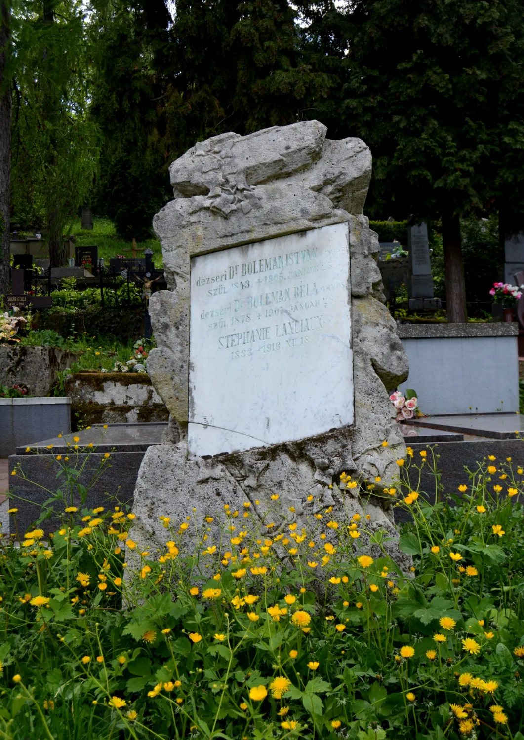 Master file0000058826