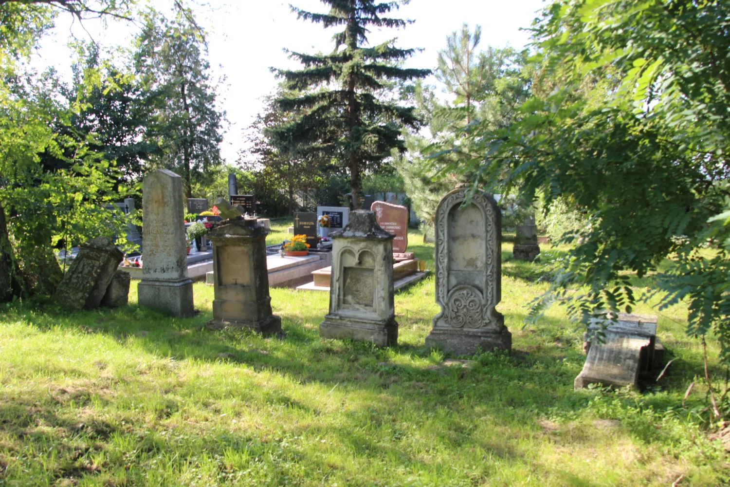 Master file0000061664