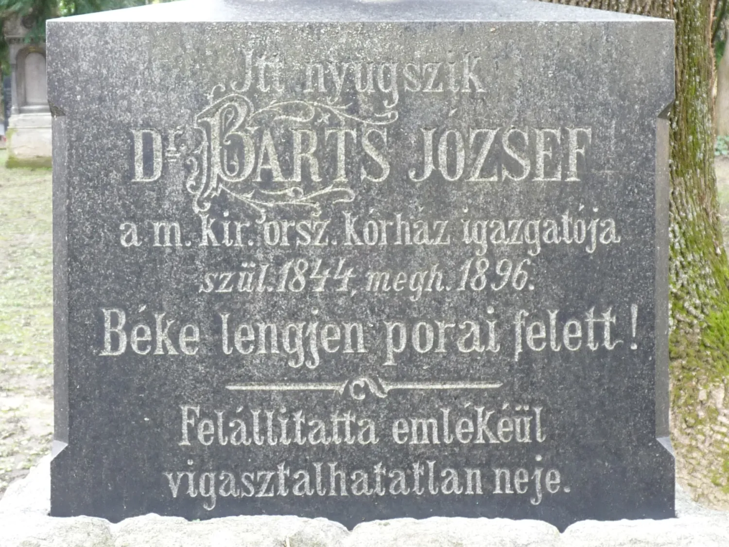 Master file0000060752