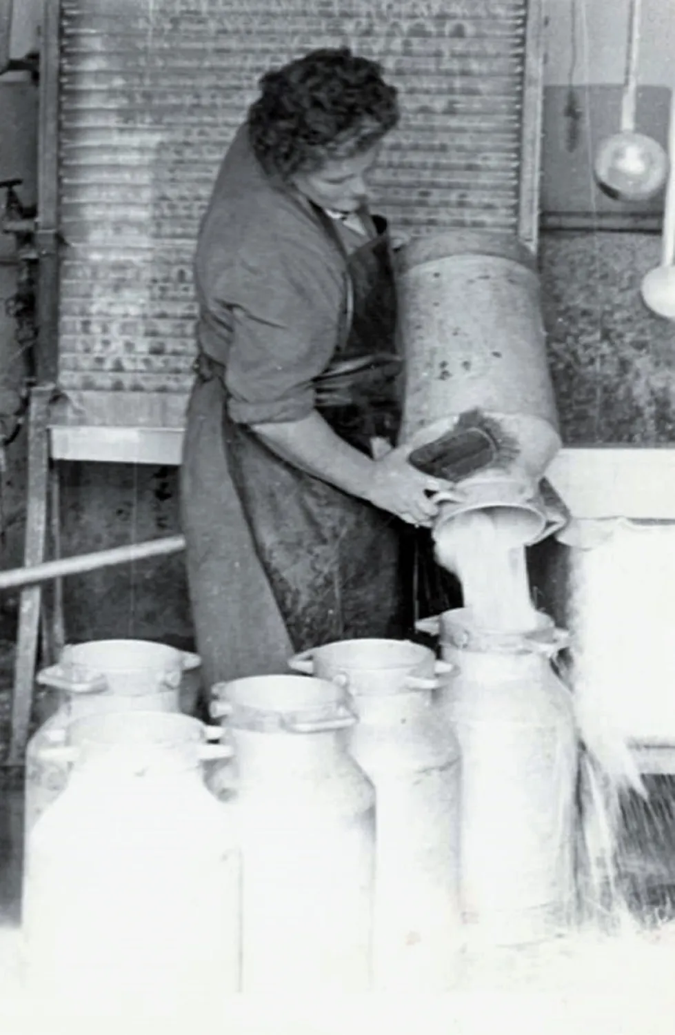 Master file0000057135