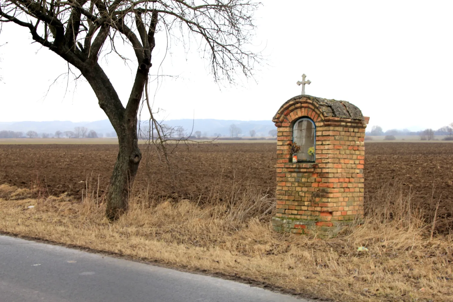 Master file0000062868