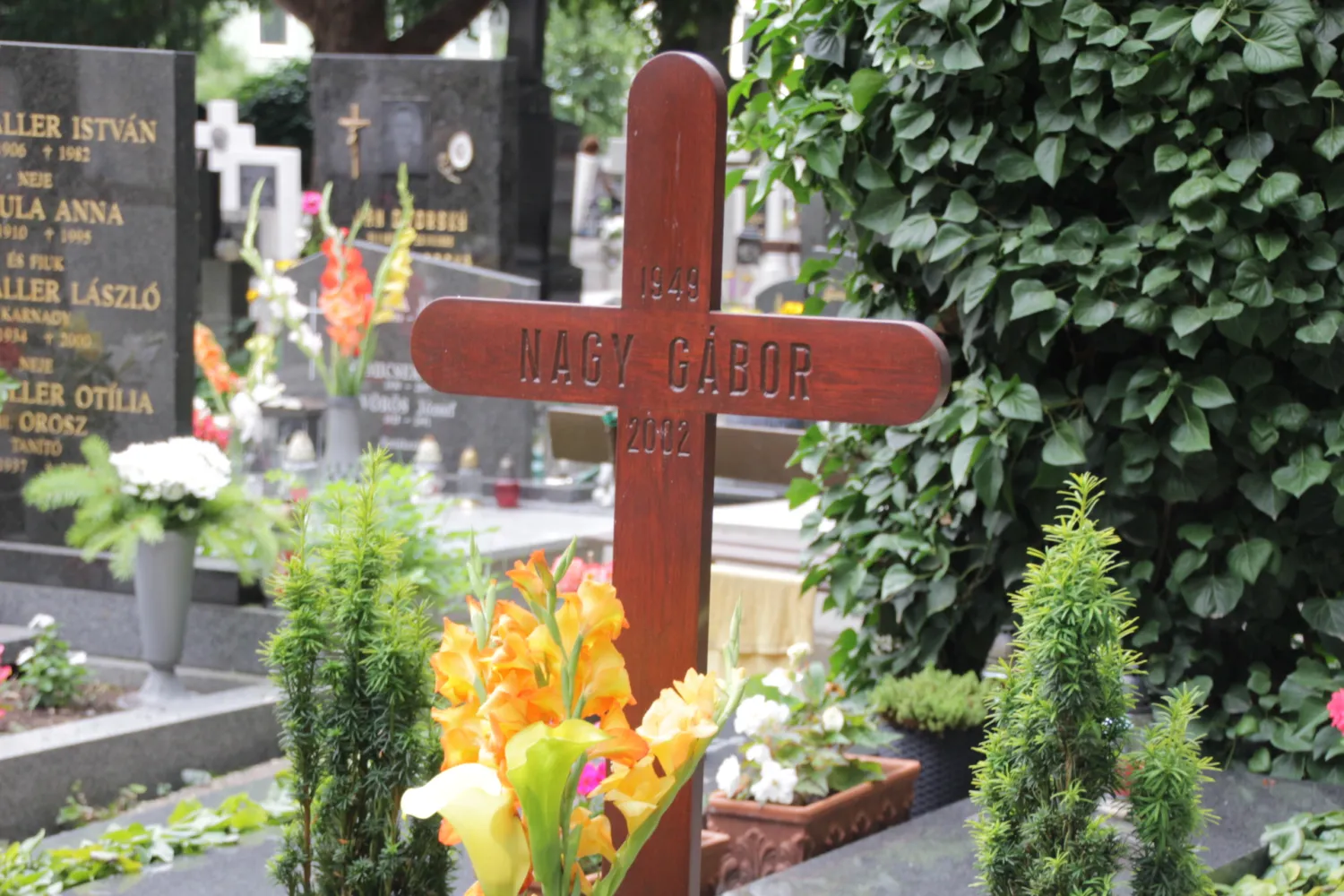 Master file0000060561