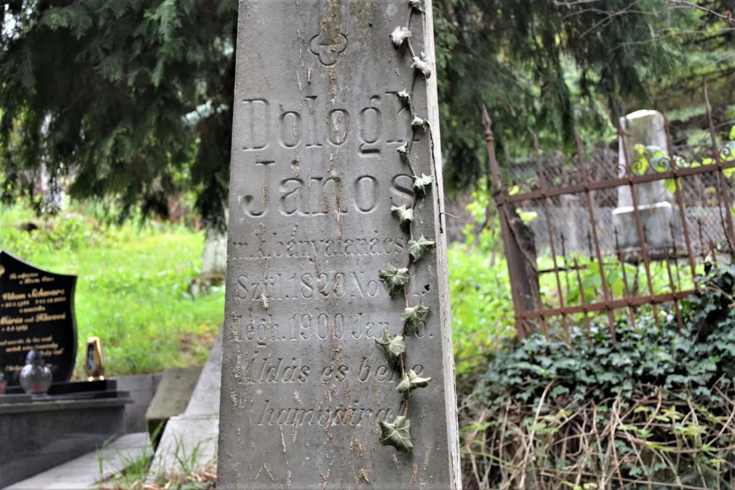 Master file0000066668