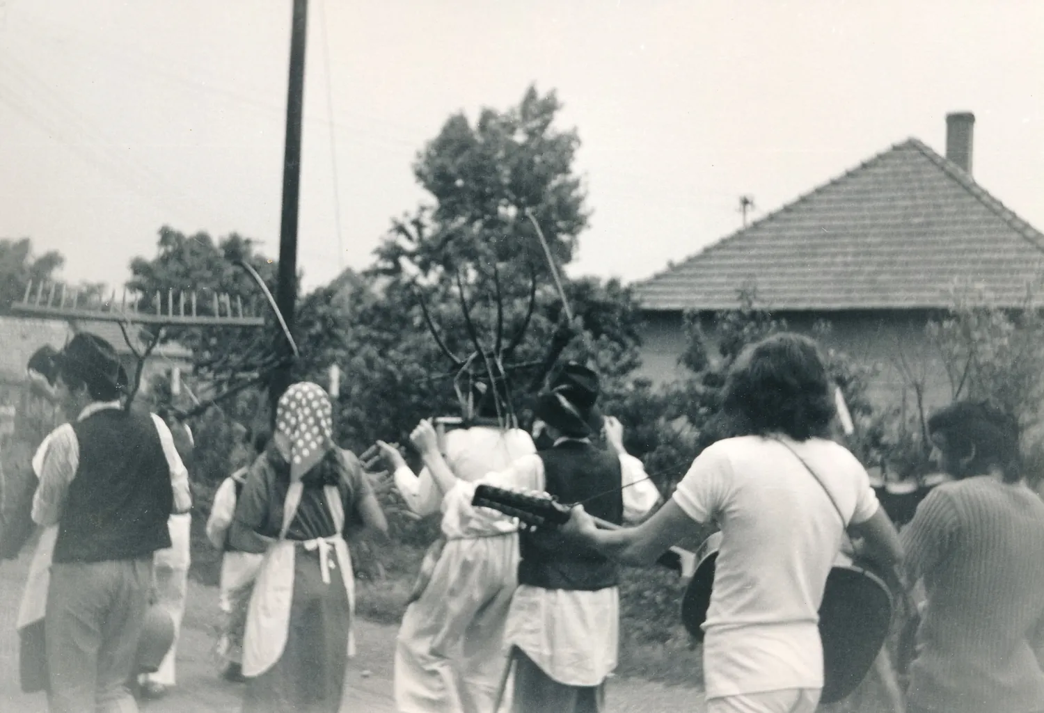 Master file0000055694