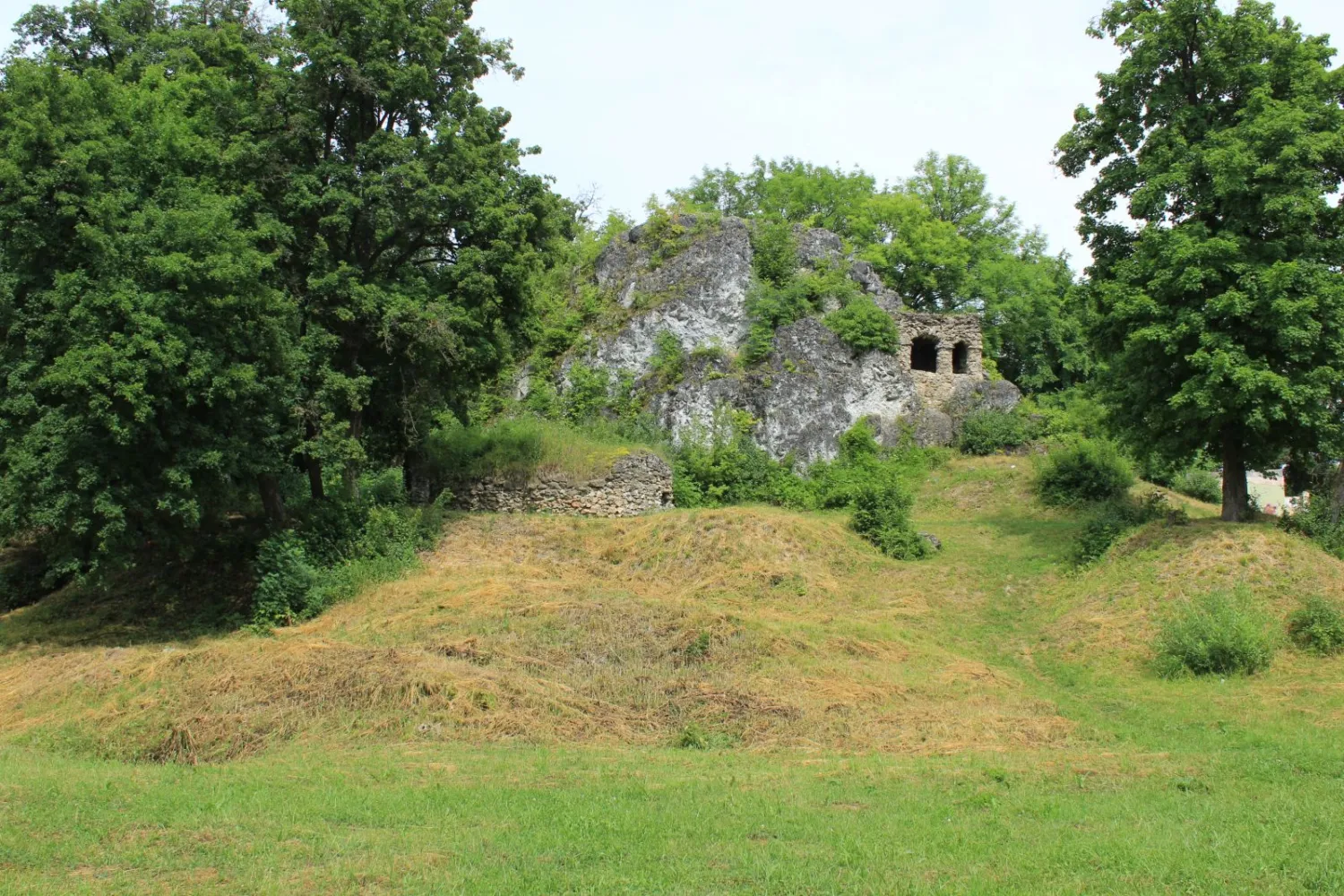 Master file0000058871