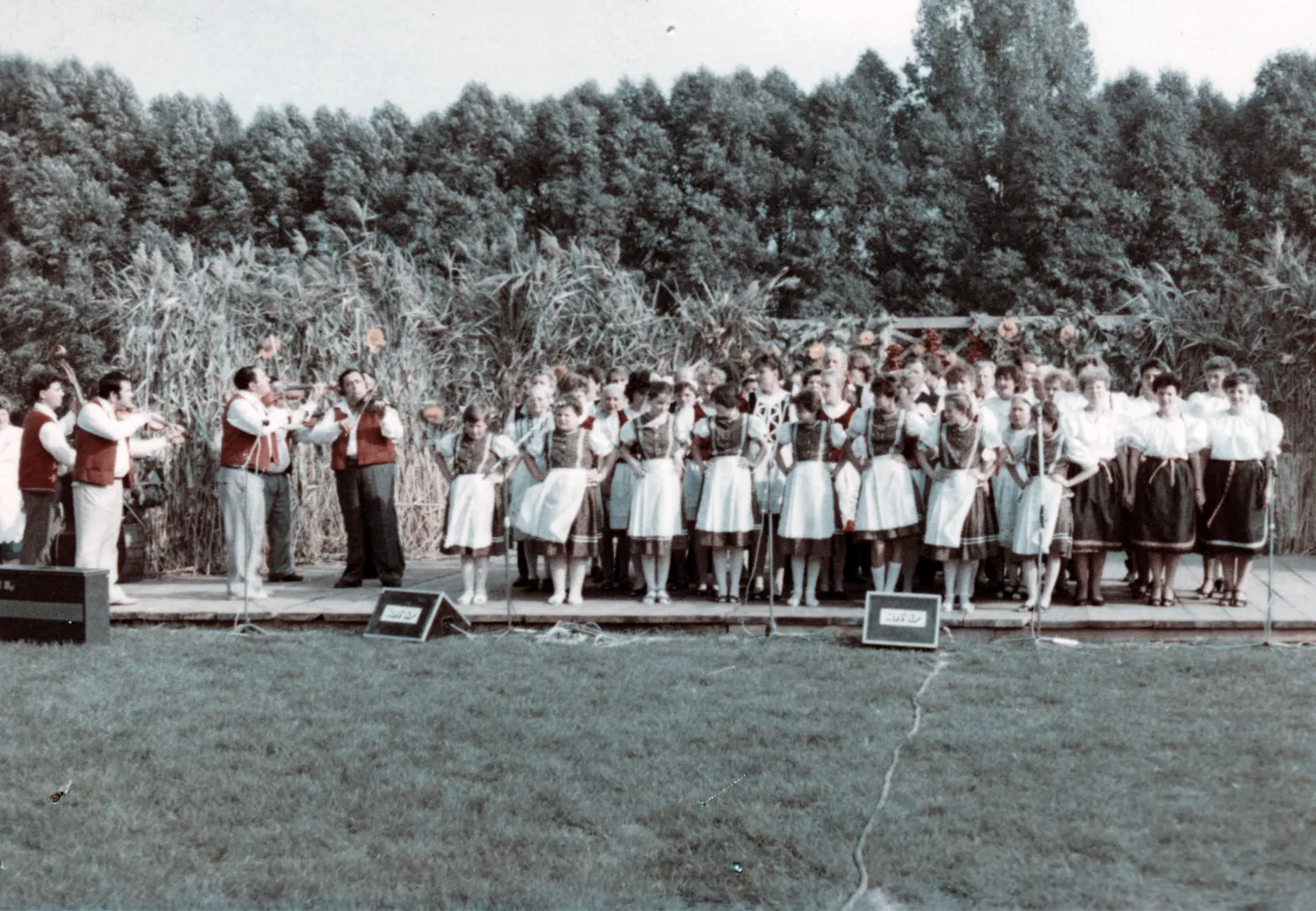 Master file0000056215