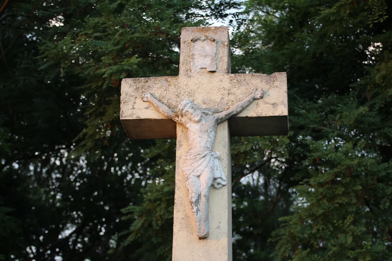 Master file0000058251