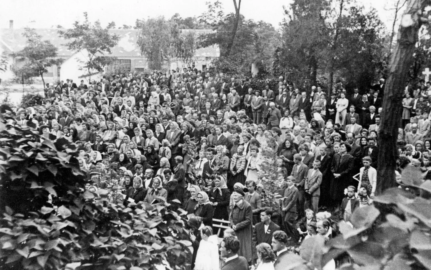 Master file0000056606