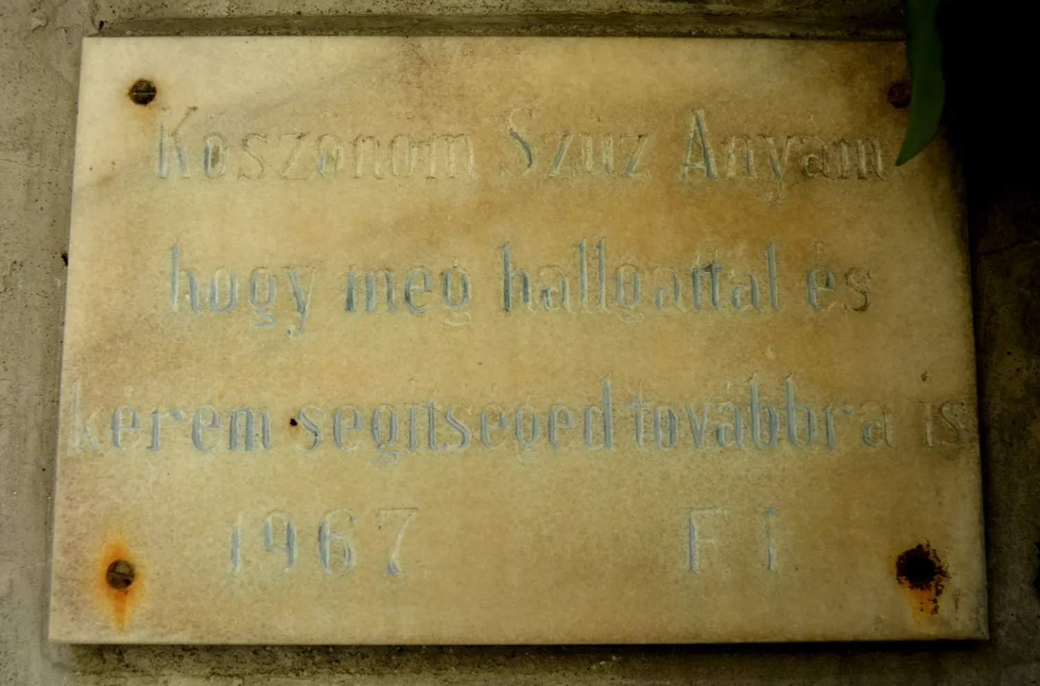 Master file0000058134