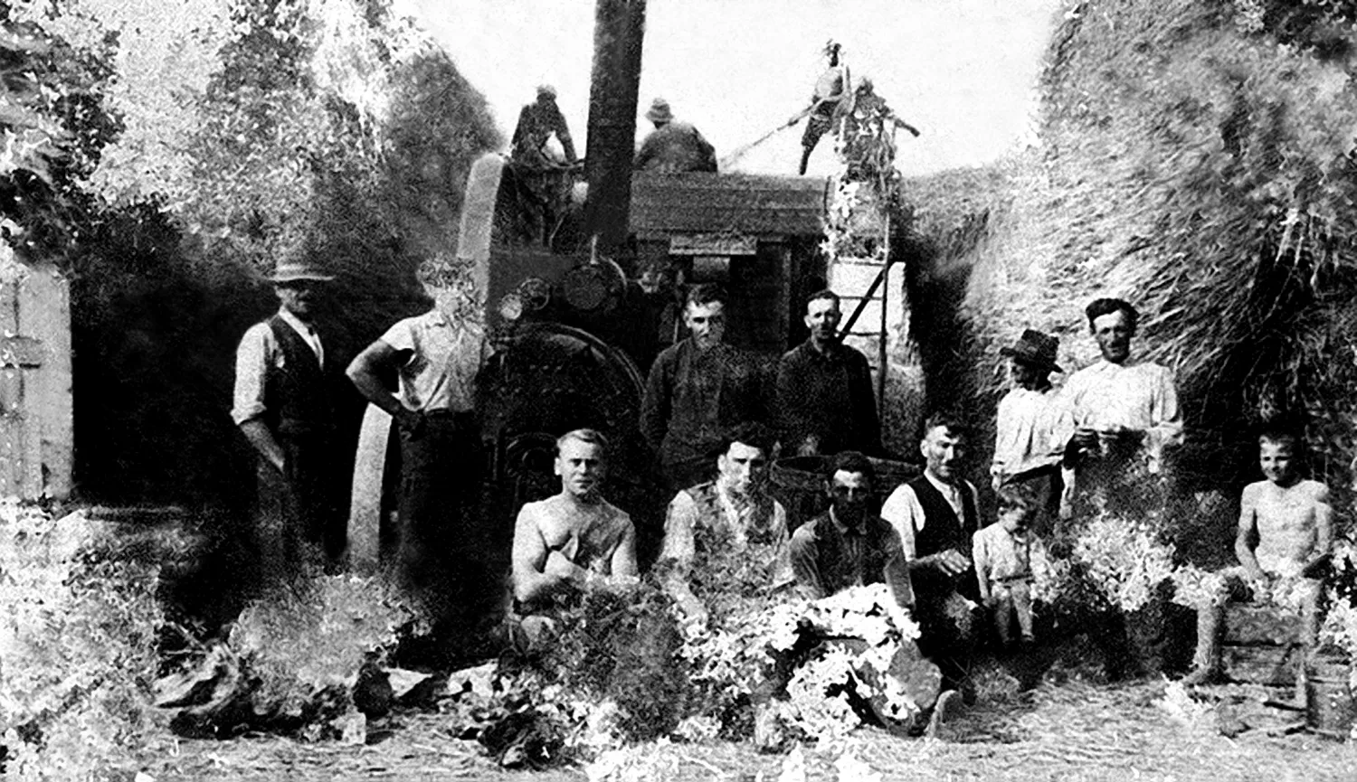 Master file0000056395