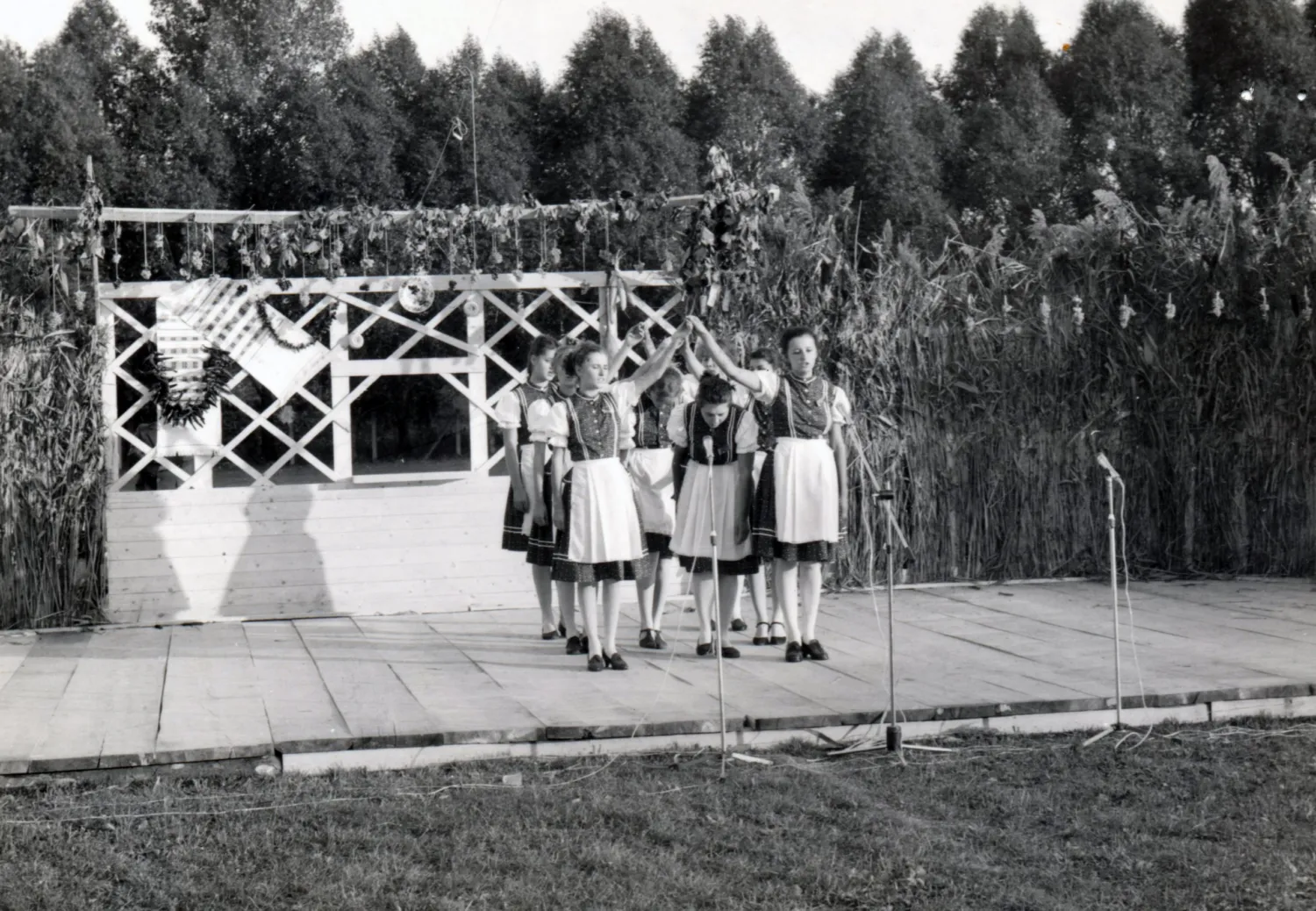 Master file0000054411