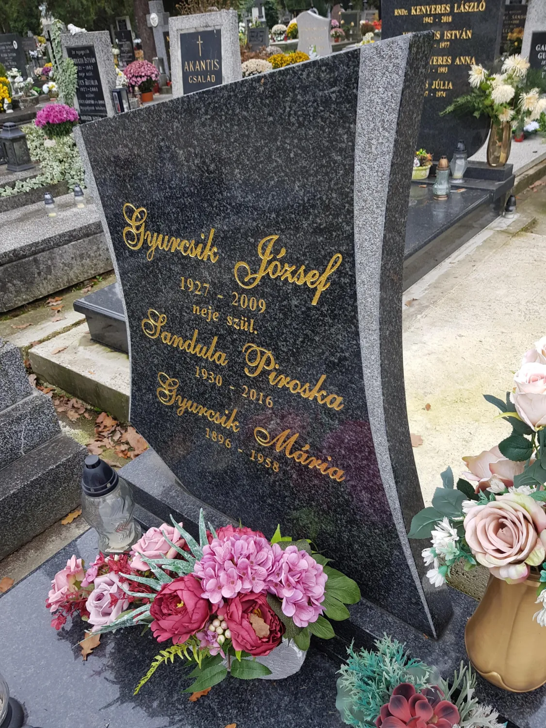 Master file0000061260