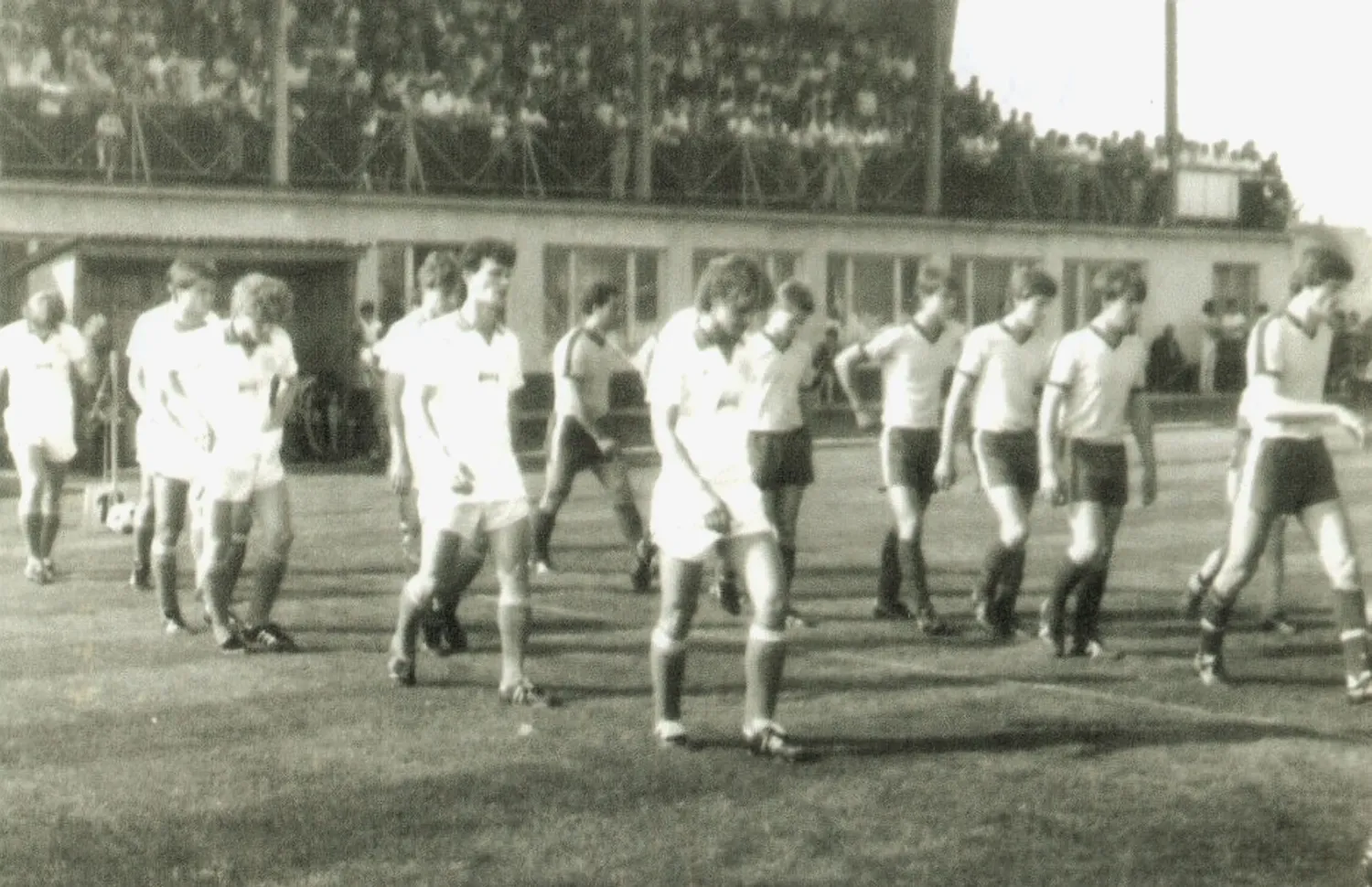 Master file0000054276