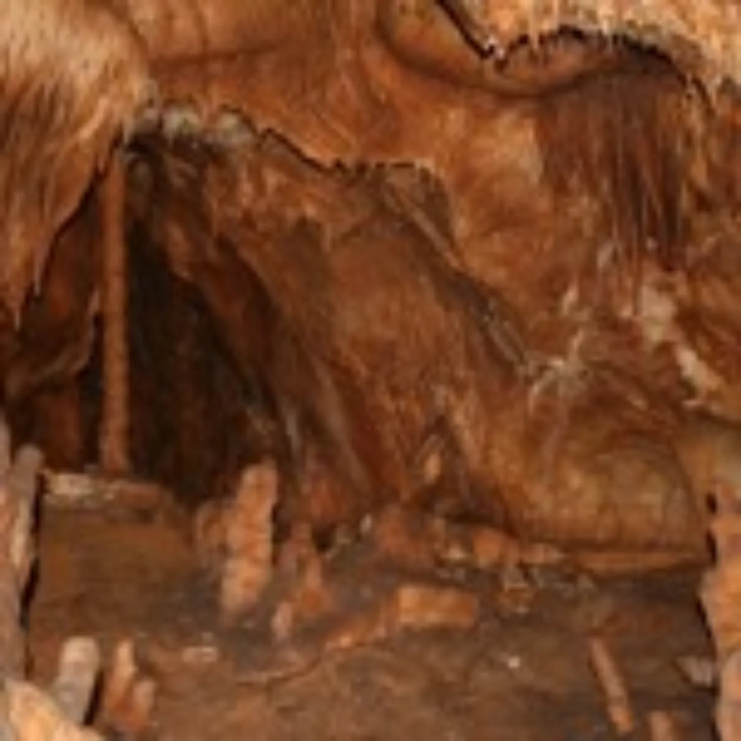 Master file0000053792