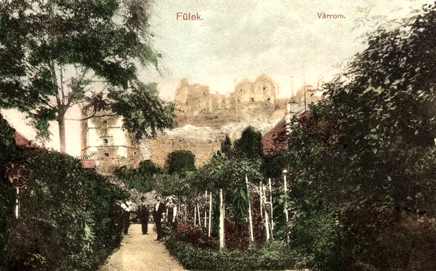 Master file0000056524